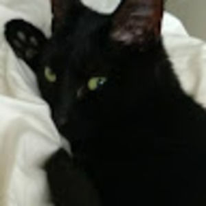 Meet your Posher, Olivia